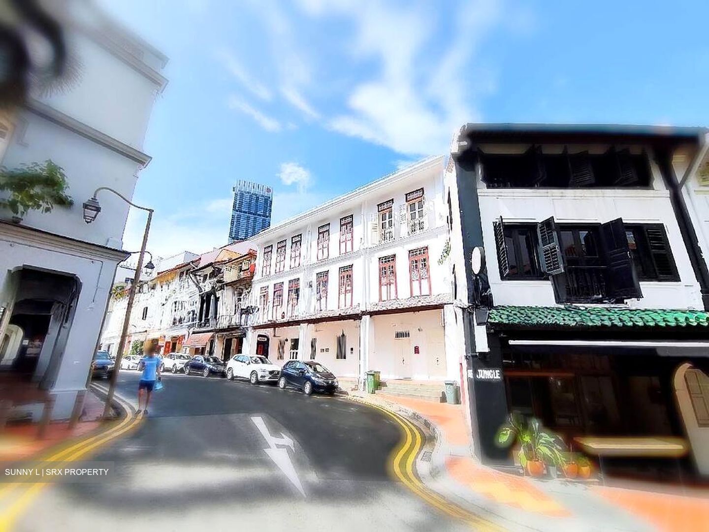 Emerald Garden (D1), Shop House #502782421